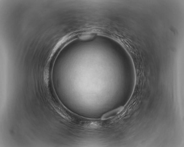 X0000115770056200911131225