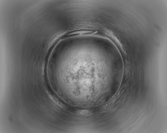 X0000115770058200911131225
