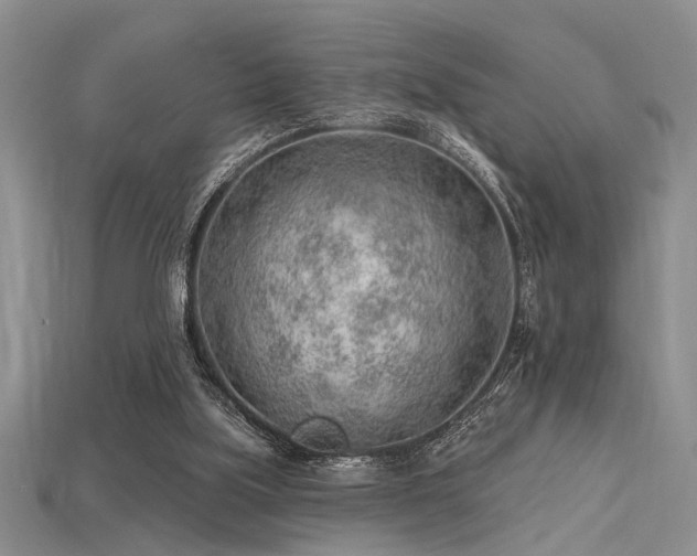 X0000115770059200911131225