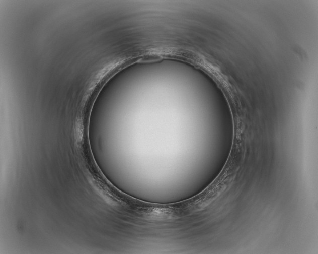 X0000115770060200911131225