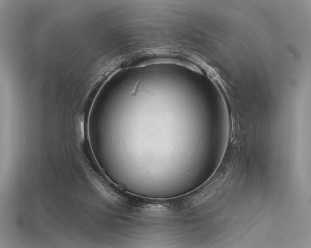 X0000115770061200911131225
