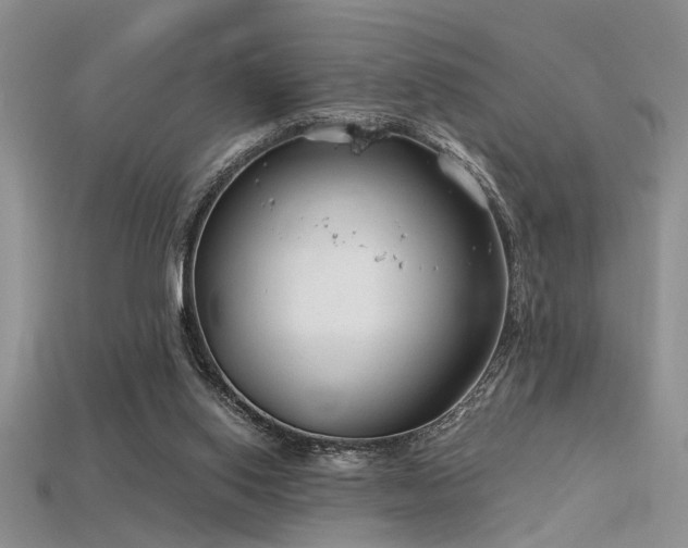 X0000115770062200911131225