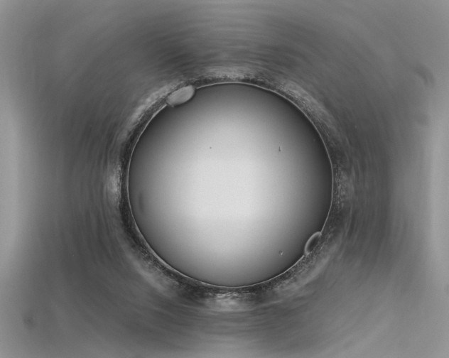 X0000115770064200911131225