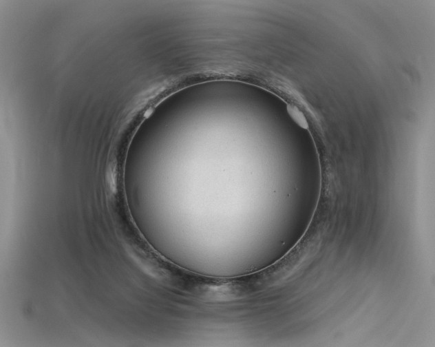 X0000115770068200911131225