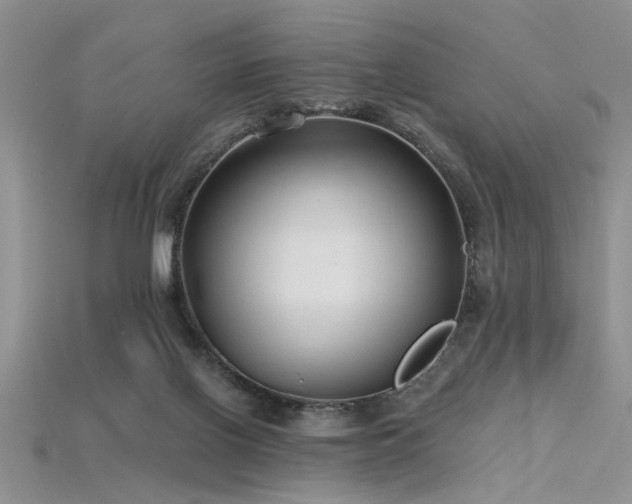 X0000115770070200911131225