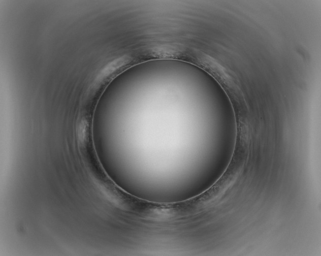 X0000115770071200911131225