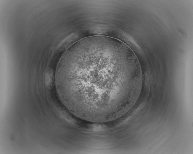 X0000115770073200911131225