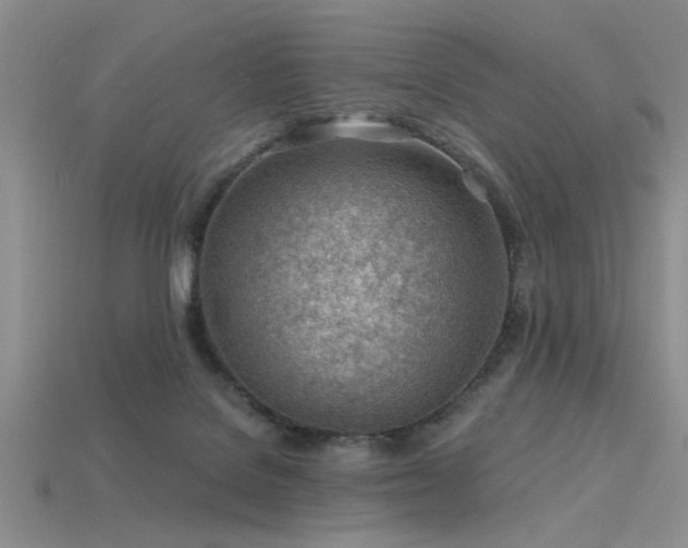 X0000115770076200911131225