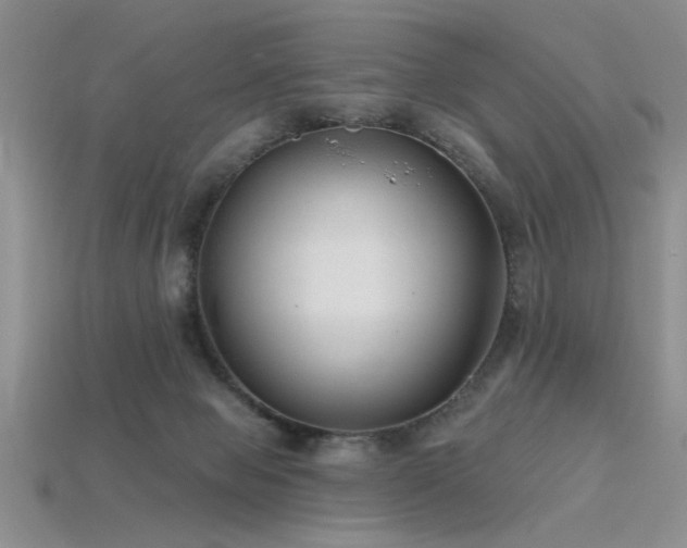 X0000115770077200911131225