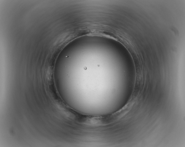 X0000115770078200911131225