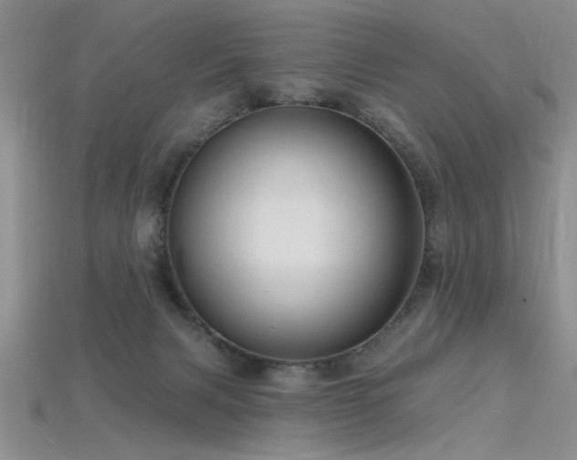 X0000115770079200911131225