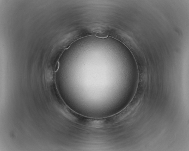 X0000115770081200911131225