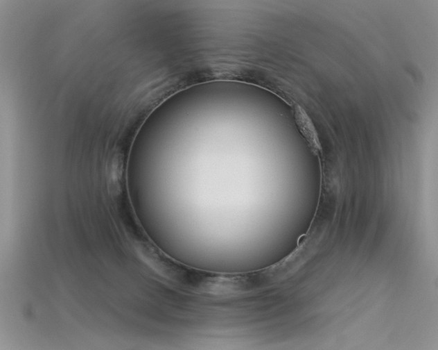 X0000115770082200911131225