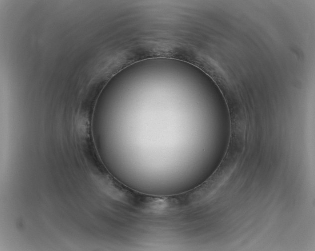 X0000115770083200911131226