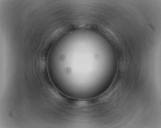 X0000115770085200911131226