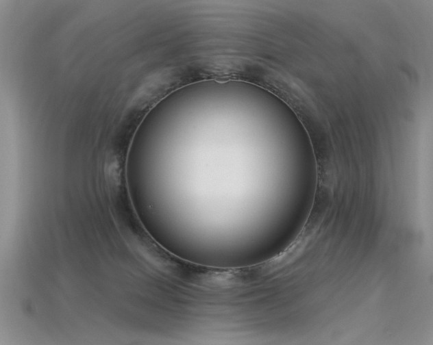 X0000115770086200911131226