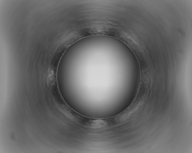 X0000115770087200911131226