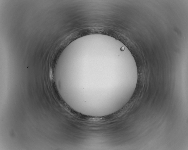 X0000115770089200911131226