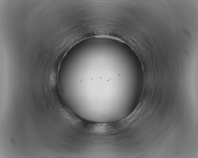 X0000115770090200911131226