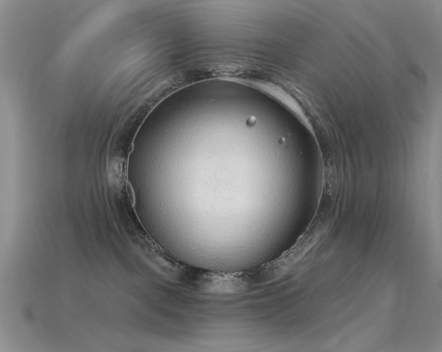 X0000115770093200911131226