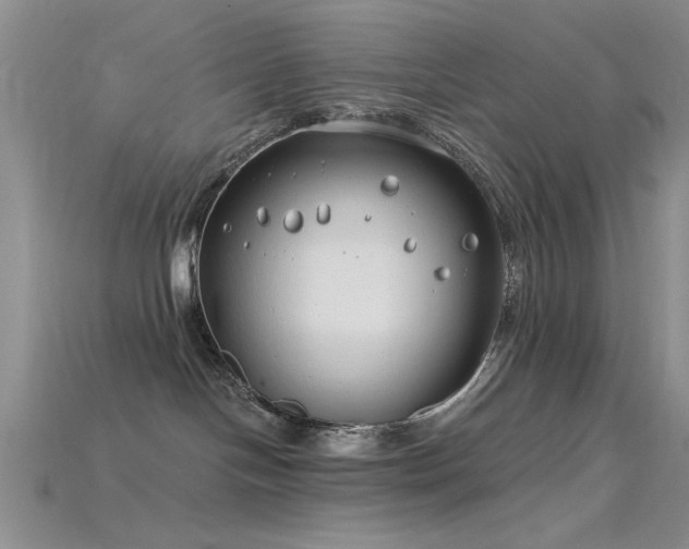 X0000115770094200911131226