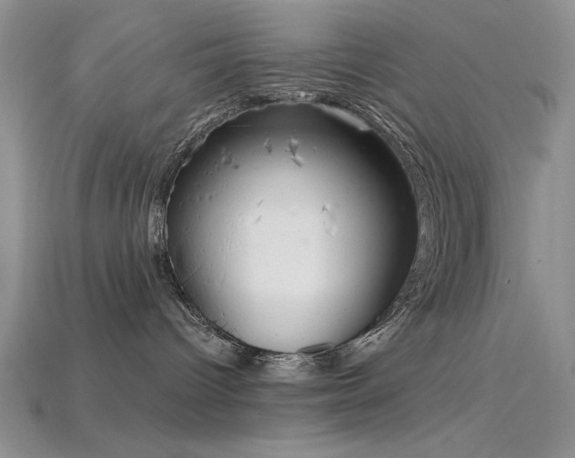 X0000115770096200911131226
