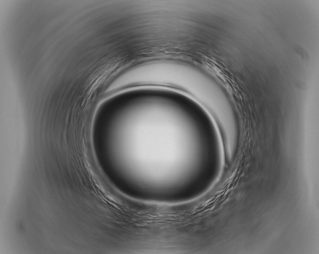 X0000115770097200911131225