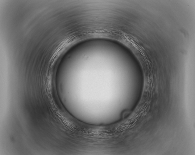X0000115770098200911131225