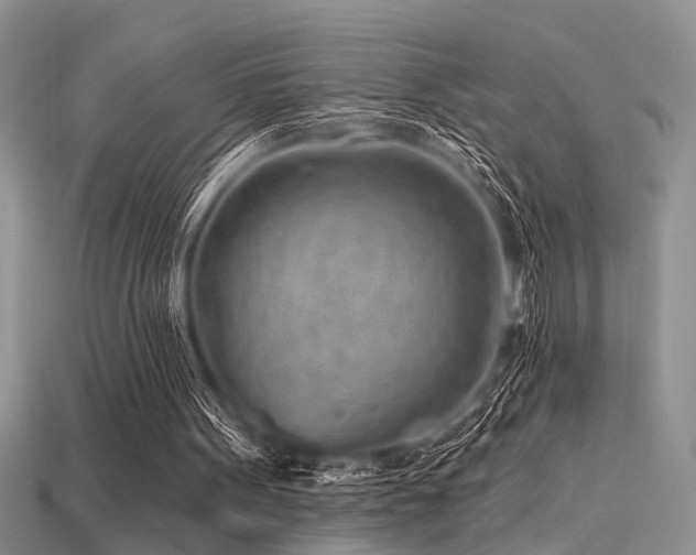 X0000115770099200911131225