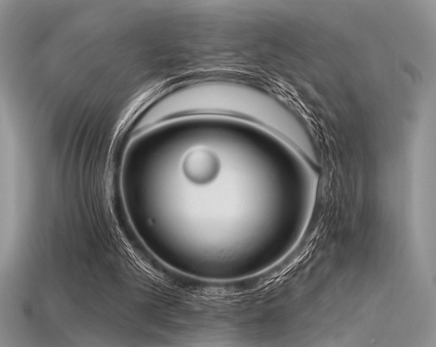 X0000115770101200911131225