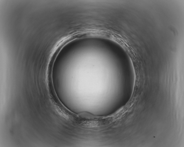 X0000115770104200911131225