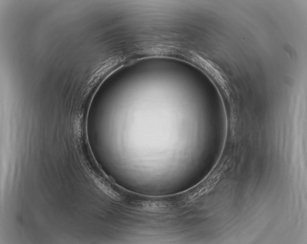 X0000115770105200911131225