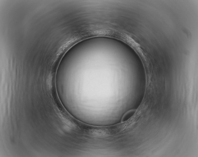 X0000115770106200911131225