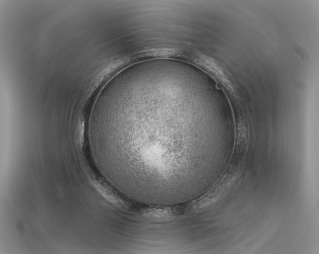 X0000115770110200911131225