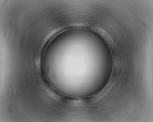 X0000115770112200911131225