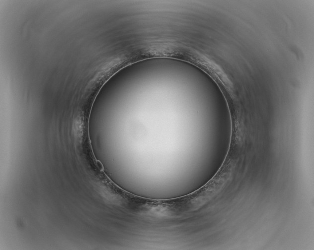 X0000115770113200911131225