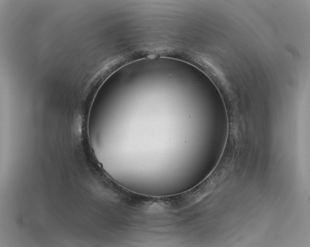 X0000115770115200911131225