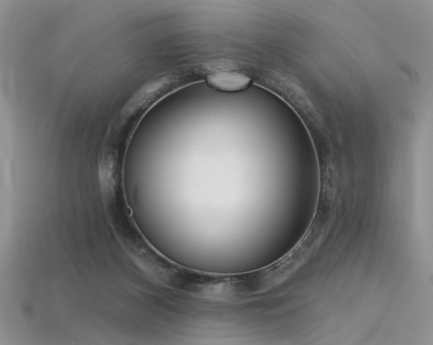 X0000115770116200911131225