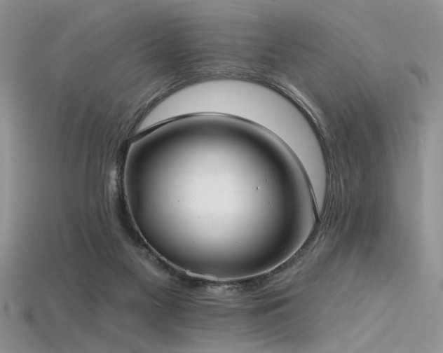 X0000115770117200911131225