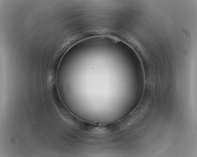 X0000115770119200911131225