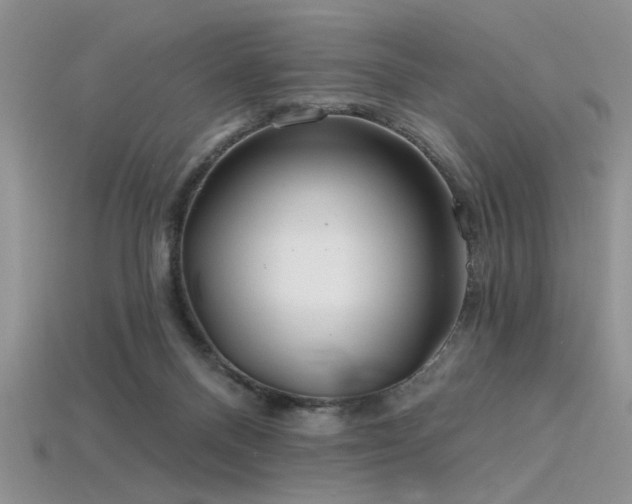 X0000115770120200911131225