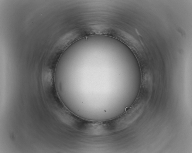 X0000115770121200911131225