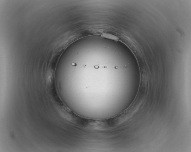 X0000115770125200911131225