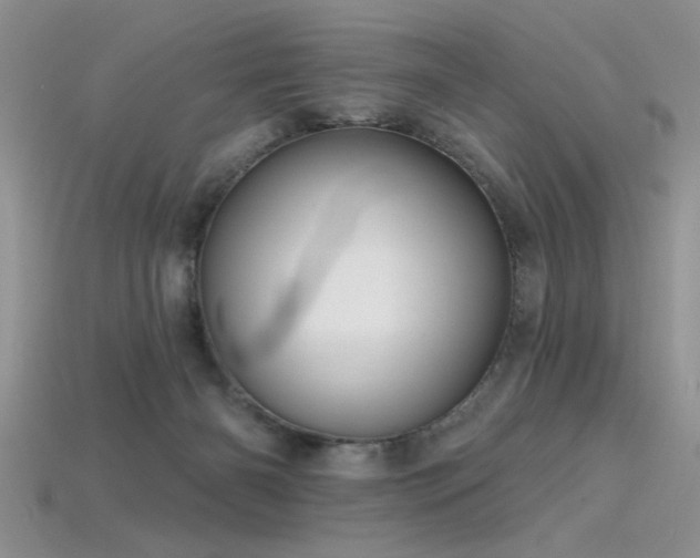 X0000115770126200911131225