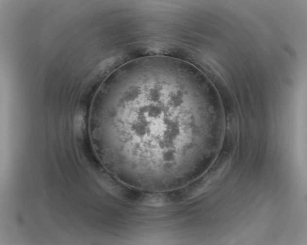 X0000115770127200911131225