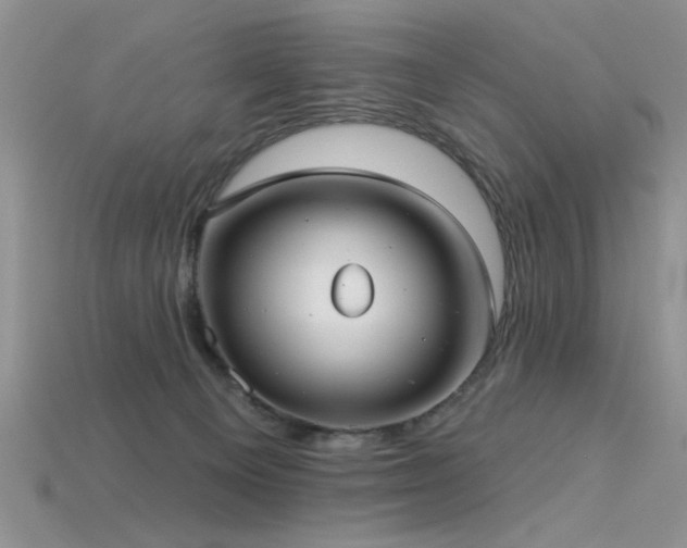 X0000115770129200911131225