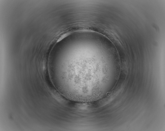 X0000115770131200911131225