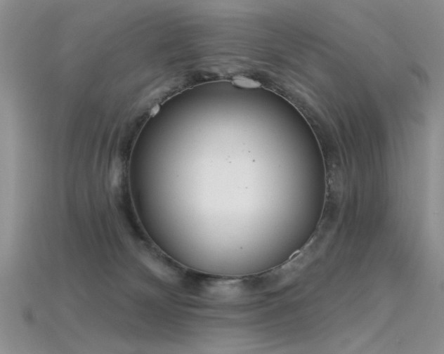 X0000115770132200911131225