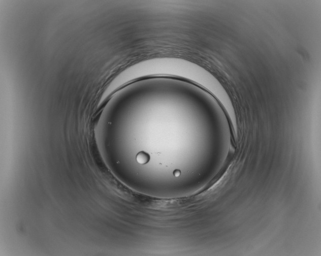 X0000115770136200911131225