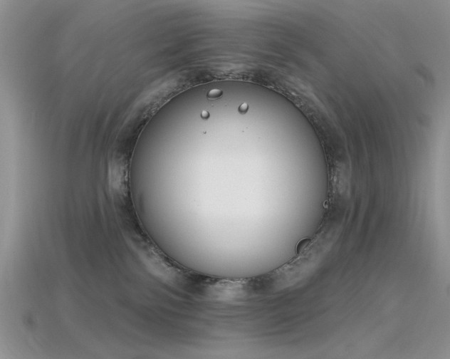 X0000115770138200911131225